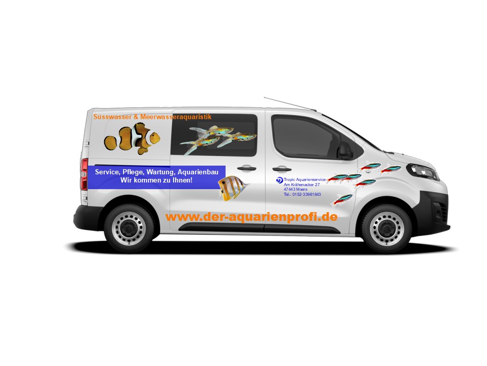 Team beim Aquarienservice