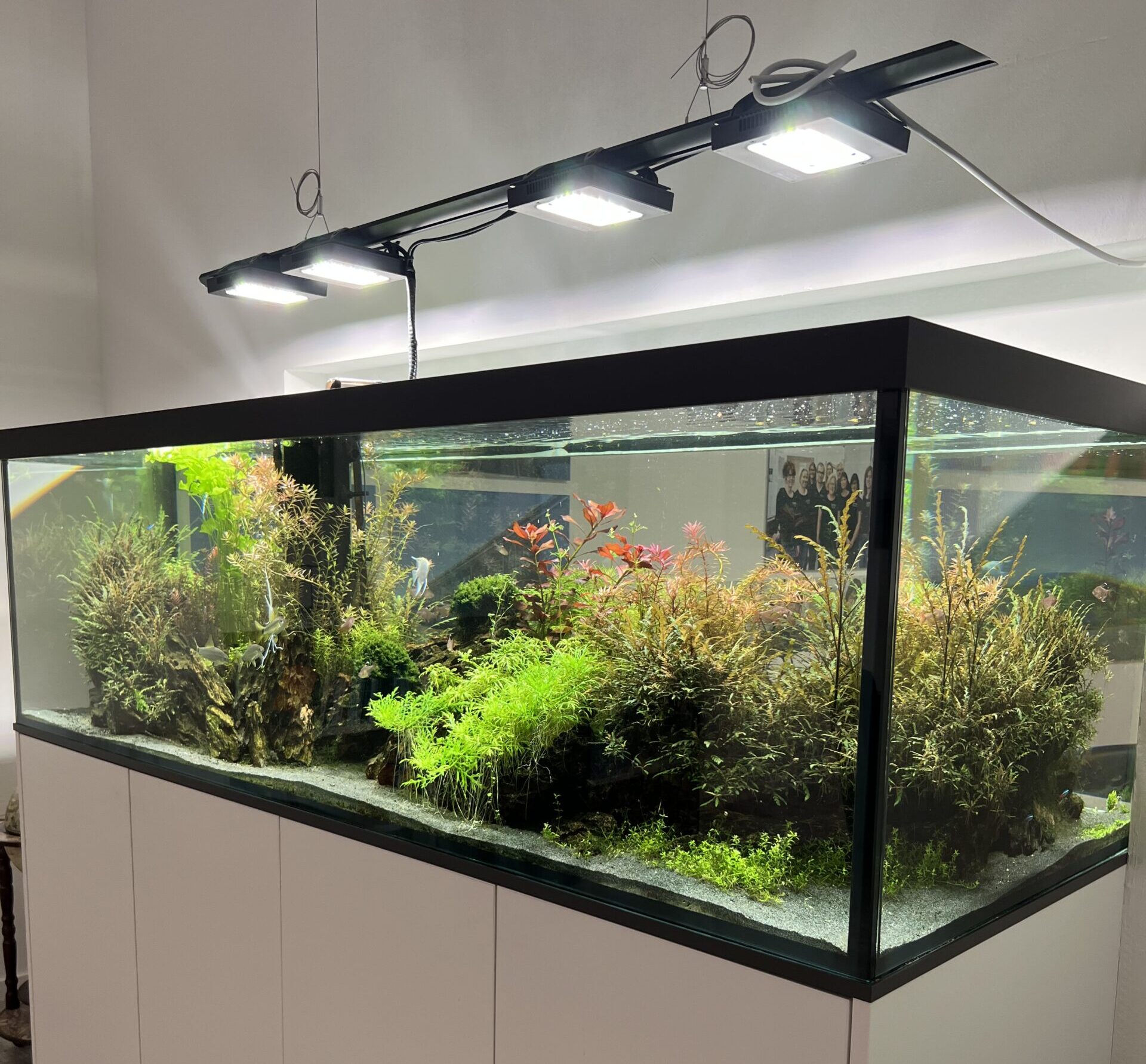 IMG 9192 1 Scaled E1761058811127