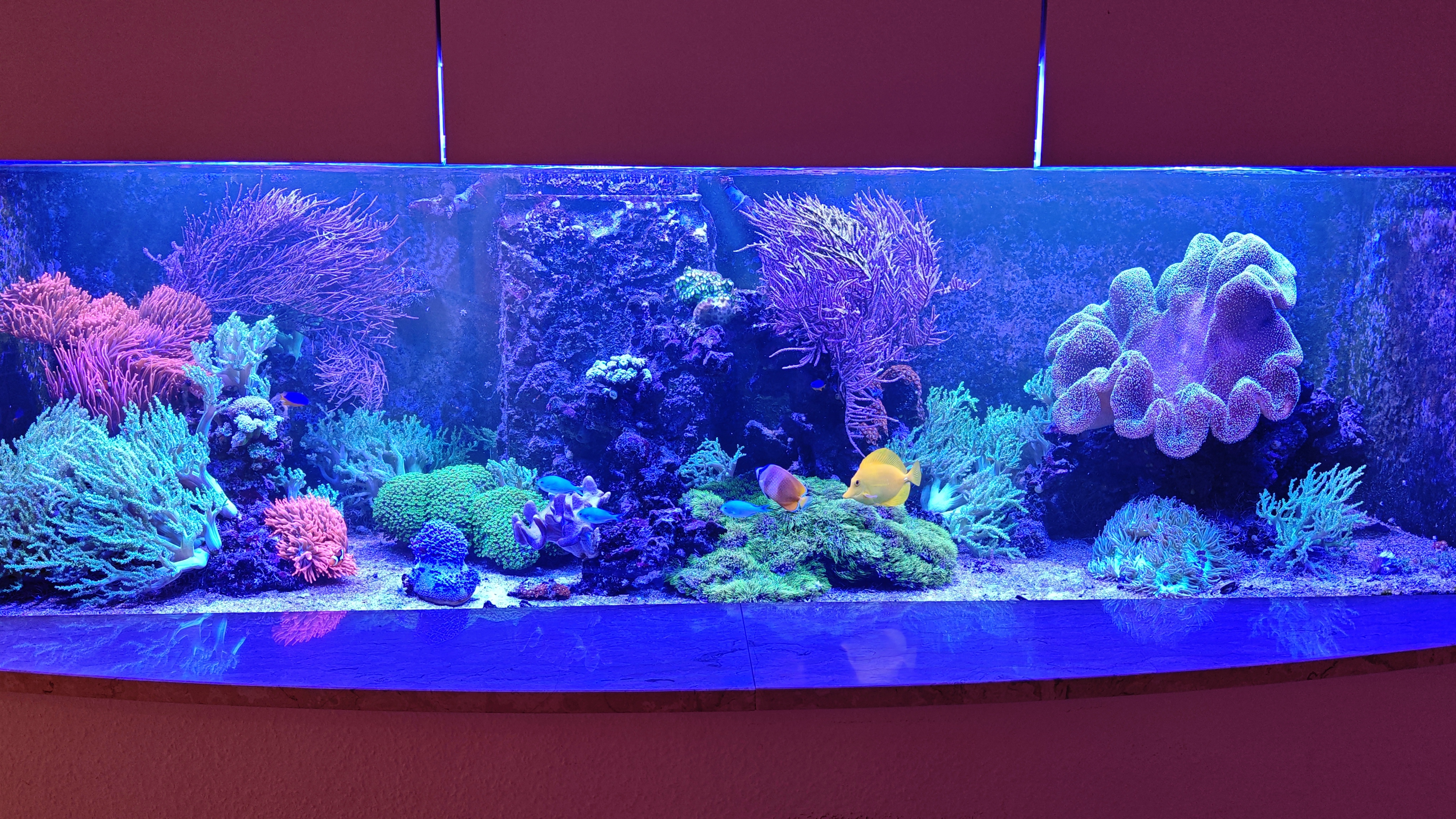 Home mvimg 20251023 144304