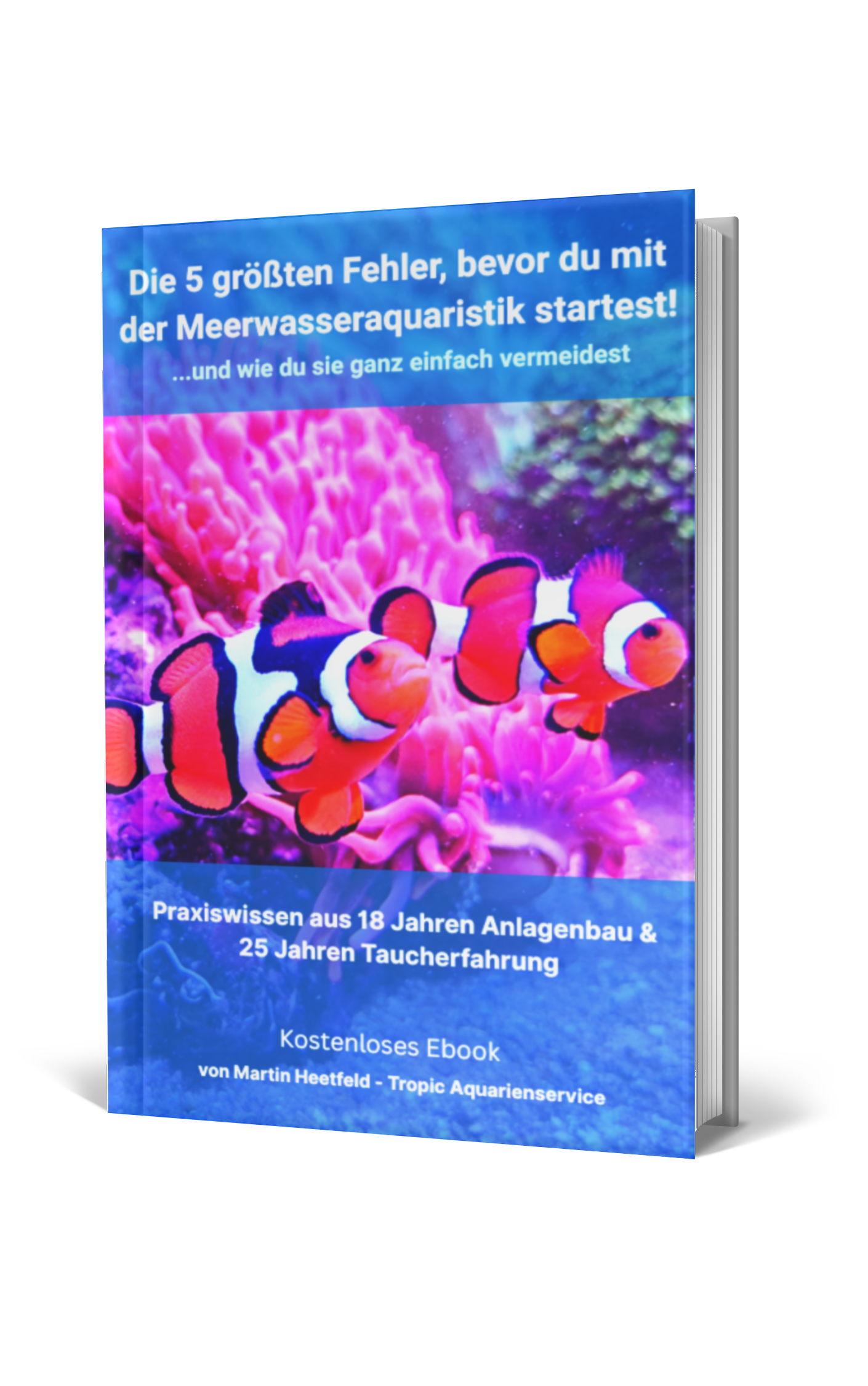 Meerwasser Technikfehler Freebie